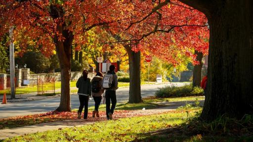 三个学生带着落叶在外面散步